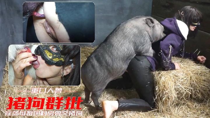 【人兽交配】极品变态母畜 饲料房狗奸猪交
